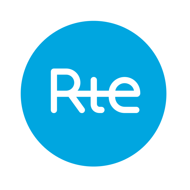 rte logo, rte partner
