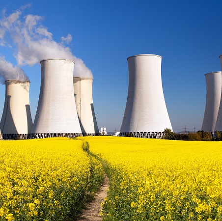 Generation of Power Nuclear Energy Plant Transient Analysis